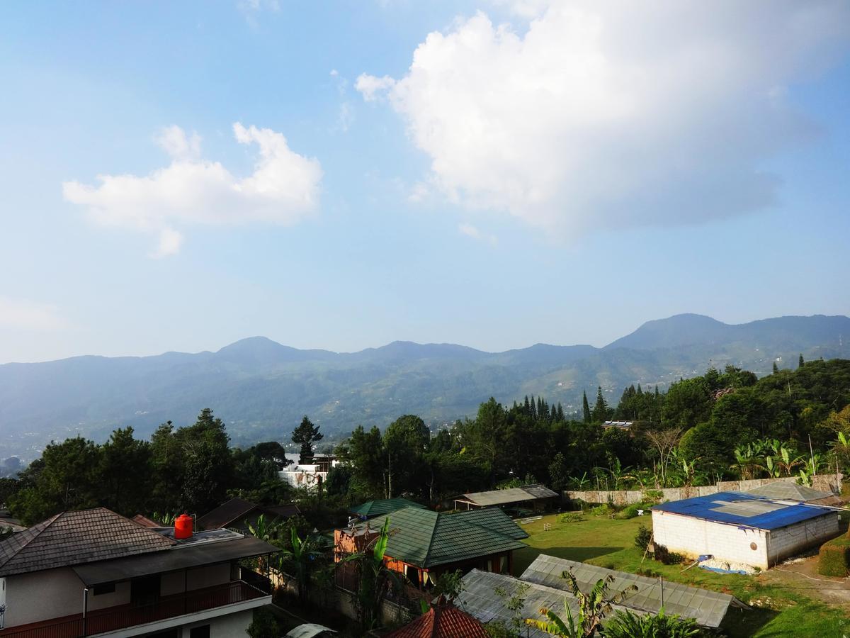 Alessa * Puncak